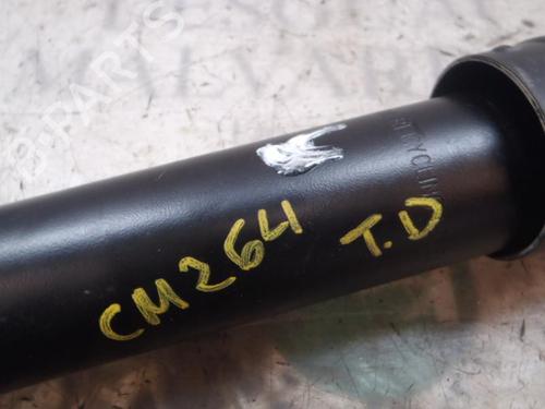 Right rear shock absorber RENAULT ZOE (BFM_)  | BP4016848M19