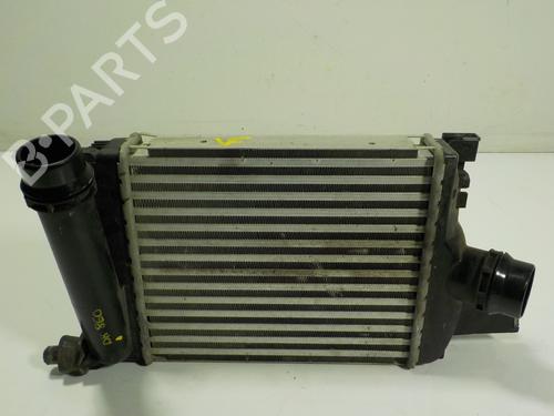 Used Intercooler Intercooler DACIA SANDERO II TCe 90 (B8M1, B8MA, B8AC) (90 hp) 13208675 13208675