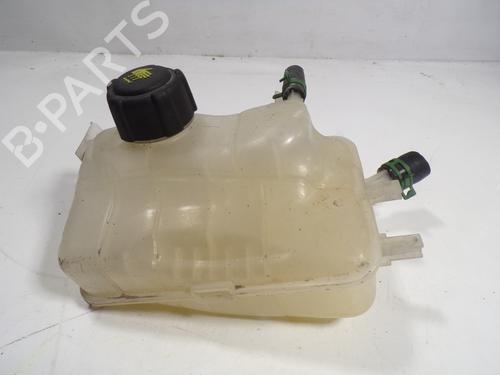 Ekspansjonstank Ekspansjonstank RENAULT MEGANE III Hatchback (BZ0/1_, B3_) 1.2 TCe (BZ2B, BZ11) (116 hp) 6966122 6966122