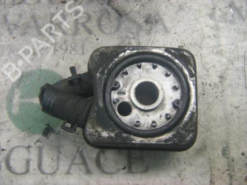 Oil radiator SEAT IBIZA II (6K1)  | BP14297993M33 