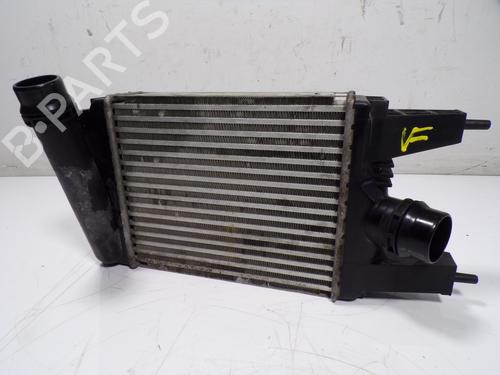 Used Intercooler NISSAN JUKE (F15) 1.2 DIG-T (115 hp) 15407078
