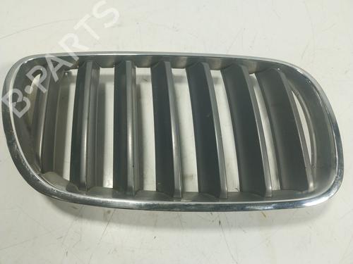 Grill/Gitter BMW X3 (E83) [2003-2011]  17557340