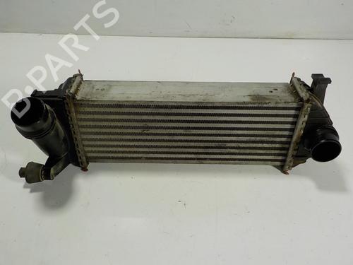 Used Intercooler Intercooler MERCEDES-BENZ CITAN Box Body/MPV (W415) [2012-2021] 11193004 11193004