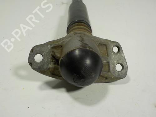 Right rear shock absorber VW TIGUAN (5N_) 2.0 TDI | BP11105118M19 