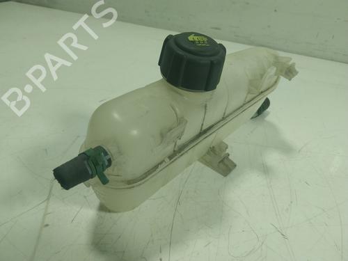 Expansion tank RENAULT ZOE (BFM_)  | BP17920450C120