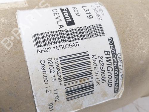 Right front shock absorber LAND ROVER DISCOVERY IV (L319) 3.0 SDV6 4x4 | BP28810239M17 