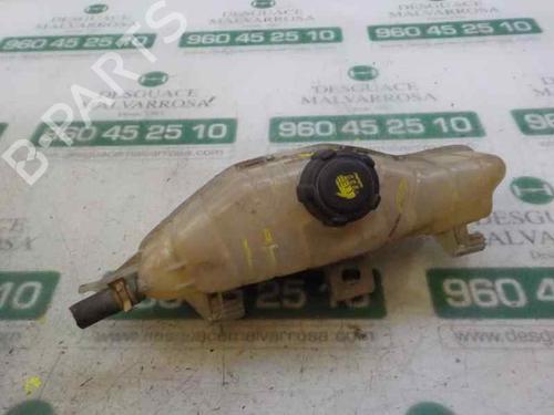 Expansion tank RENAULT CLIO III (BR0/1, CR0/1)  | BP6241275C120 