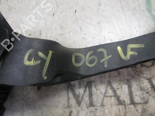 Pedal FIAT PUNTO EVO (199_) 1.3 D Multijet | BP3846936I4