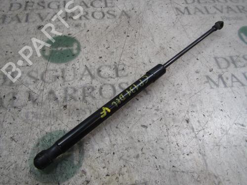 Used Hood lift support VW CADDY III MPV (2KB, 2KJ, 2CB, 2CJ) 1.9 TDI (105 hp) 14273947