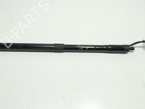 tailgate-lift-support-volvo-xc40-536-2017-36674823 main image