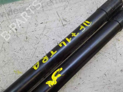 Tailgate lift support RENAULT CLIO IV (BH_)  | BP14284735C138 