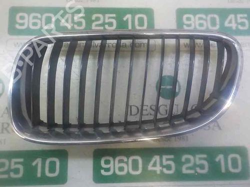 Grill/Gitter BMW 3 Convertible (E93) 320 d (177 hp) 5246748