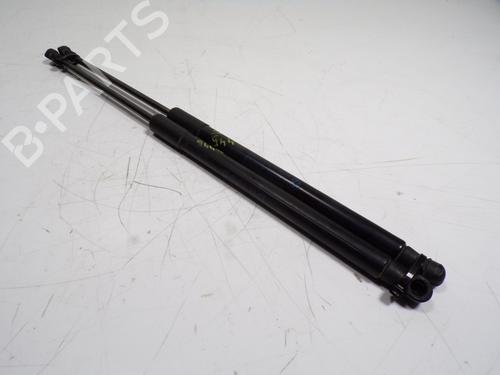 Tailgate lift support BMW 1 (F20) 120 d | BP17126614C138