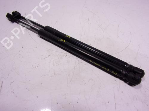 Hood lift support LAND ROVER DISCOVERY V (L462) D300 MHEV 4x4 | BP15689922C139 