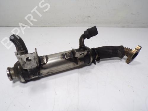Egr OPEL ZAFIRA / ZAFIRA FAMILY B (A05) 1.9 CDTI (M75) | BP17042770M69 