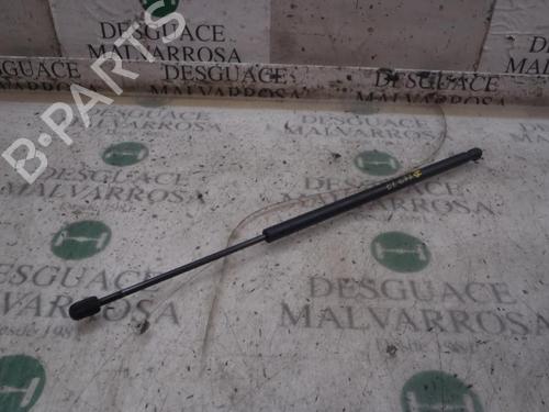 Used Tailgate lift support FORD FIESTA V (JH_, JD_) [2001-2014]  14273135