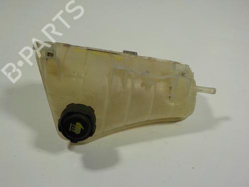 Used Expansion tank RENAULT KANGOO / GRAND KANGOO II (KW0/1_) [2008-2025]  11947316