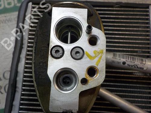 Air conditioning evaporator SEAT IBIZA IV SC (6J1, 6P5) 1.6 TDI | BP11644650M109 