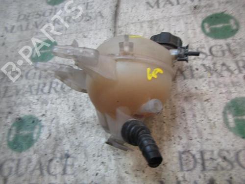 Expansion tank CITROËN C3 II (SC_) 1.1 i | BP3834171C120 