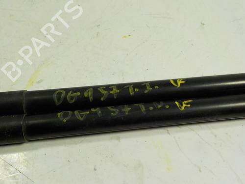 Tailgate lift support NISSAN QASHQAI I (J10, NJ10) 1.6 dCi | BP14285925C138 