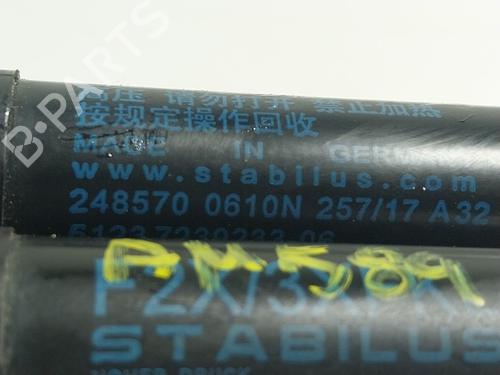 Hood lift support BMW 3 (F30, F80)  | BP17944806C139 