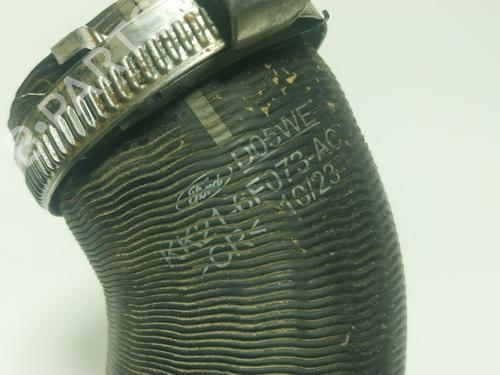 Andre FORD TRANSIT V363 Platform/Chassis (FED, FFD)  | BP24810991O1 