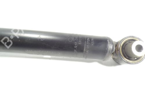 Left rear shock absorber VW TIGUAN (AD1, AX1) 2.0 TDI | BP9951296M18 