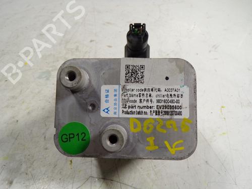 Electronic module PEUGEOT 208 II (UB_, UP_, UW_, UJ_) e-208 9831600480 | 9831600480