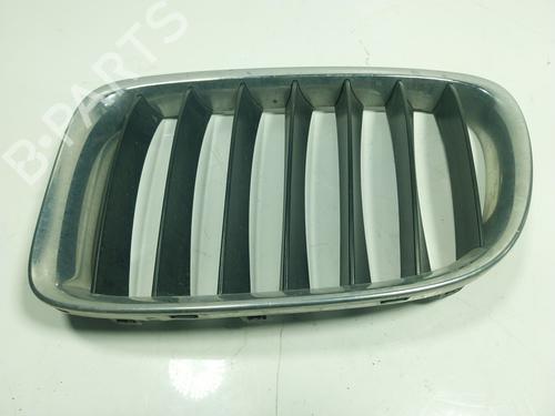 Used Grille BMW X1 (E84) sDrive 16 d (116 hp) 17457692