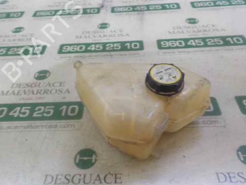 Ekspansjonstank FORD FIESTA VI (CB1, CCN) [2008-2025]  5181124
