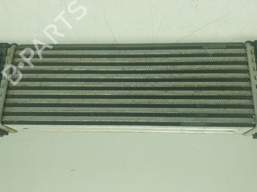 Intercooler FORD TRANSIT V363 Platform/Chassis (FED, FFD)  | BP24810984M30 