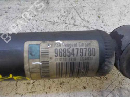 Right rear shock absorber CITROËN C3 II (SC_)  | BP6216967M19 