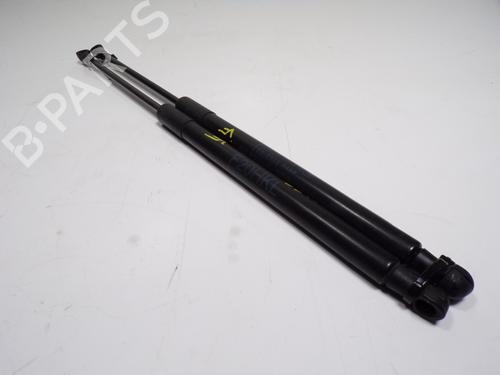 Tailgate lift support BMW 1 (F20)  | BP15225669C138