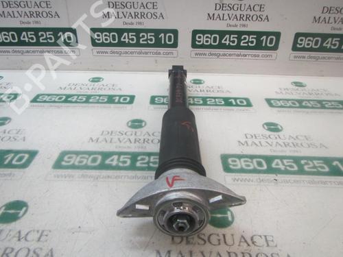 Used Right rear shock absorber TOYOTA COROLLA Hatchback (_E21_, _EA1_, _EH1_) [2018-2025]  9104234