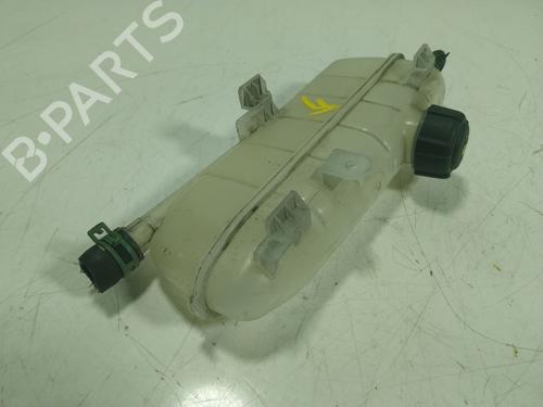 Expansion tank RENAULT ZOE (BFM_)  | BP17920477C120