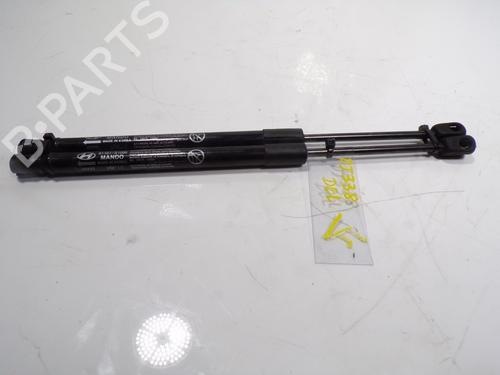 Hood lift support HYUNDAI SANTA FÉ IV (TM, TMA) 2.2 CRDi AWD 81161S1000 | 81161S1000