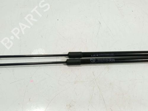tailgate-lift-support-kia-sportage-v-nq5-2021-40441912 main image