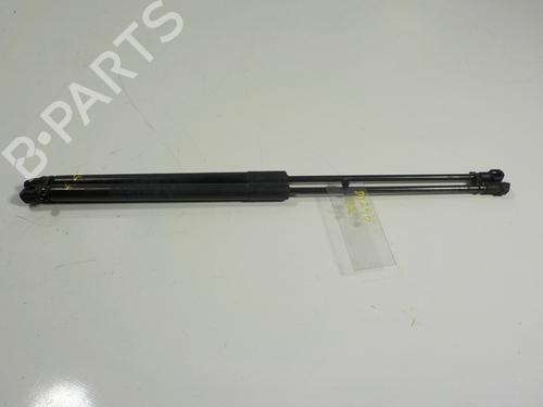 Hood lift support LEXUS RX (_L1_) 450h (GYL10_) 534400W200 | 534400W200 | 0267900200N