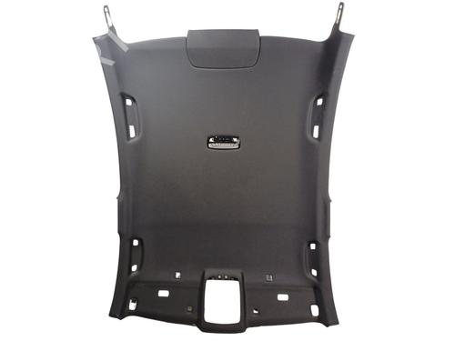 Used Interior roof Interior roof BMW 5 (G30, F90) [2016-2026] 24844869 24844869