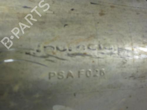 Particulate filter DS DS 5 (KF_) | BP11413511M81 - Image 5