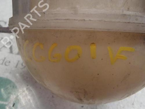 Expansion tank VW TOURAN (1T1, 1T2) 2.0 TDI 16V | BP3817017C120 