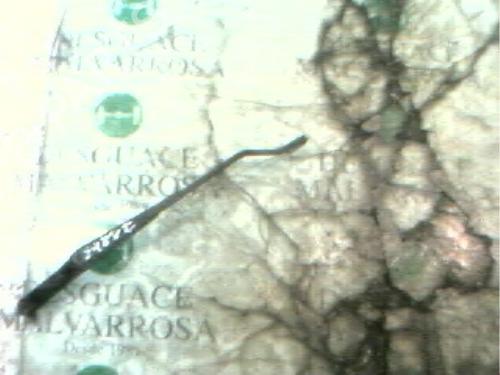 Used Front windshield wiper arm Front windshield wiper arm 3752964 3752964