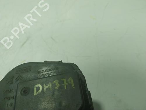 Throttle body FORD C-MAX II (DXA/CB7, DXA/CEU)  | BP16025204M82 