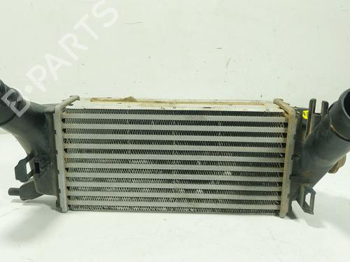 Intercooler Intercooler FORD FIESTA VII (HJ, HF) 1.0 EcoBoost (101 hp) 35783947 35783947