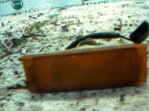 Used Left front indicator Left front indicator RENAULT RAPID Box Body/MPV (F40_, G40_) 1.6 D (F404) (55 hp) 3770579 3770579