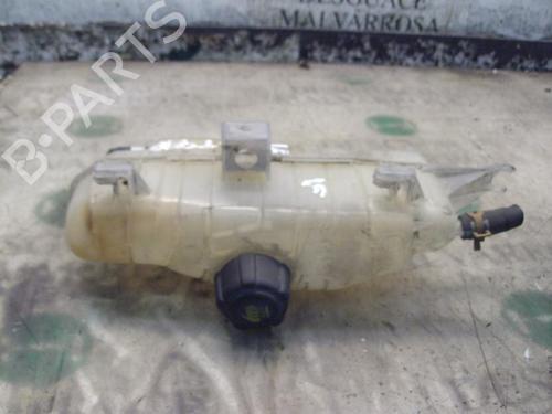 Used Expansion tank RENAULT CLIO III (BR0/1, CR0/1) 1.5 dCi (BR0H, CR0H, CR1S, BR1S) (106 hp) 3748554