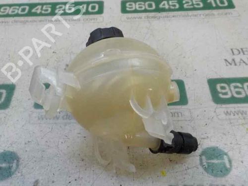 Expansion tank PEUGEOT 308 II (LB_, LP_, LW_, LH_, L3_) 1.2 THP 130 | BP5419733C120