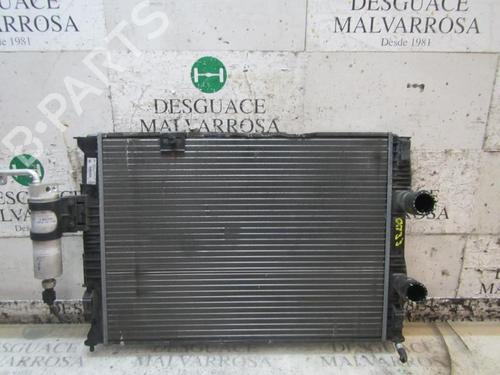 Used Water radiator Water radiator NISSAN QASHQAI I (J10, NJ10) 2.0 (141 hp) 3843883 3843883