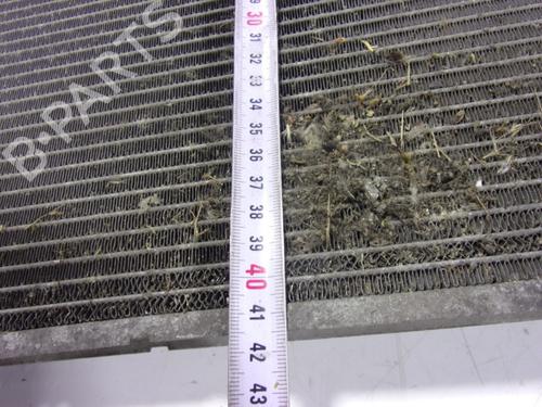 Water radiator KIA CEE'D (JD) 1.6 GDI | BP10616869M31 