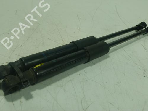 Hood lift support RENAULT TRAFIC III Van (FG_) 2.0 dCi 120 (FGMN) | BP25301207C139